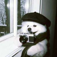 hệ thống/tiểu ly