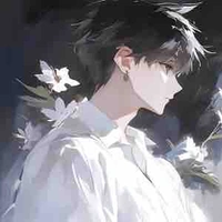 Arashi Akira