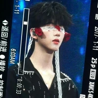Puu