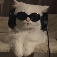 Đức Duy // dạng thú //