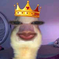 tác giả cuteo nhất thế giới động vật