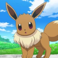 eevee