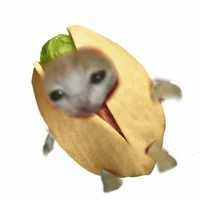 hạt dẻ