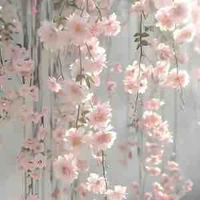 Alltop ( trừ ai thì trừ)