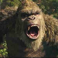 Kong 