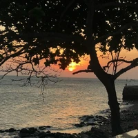 Nhân vật tổng hợp nam