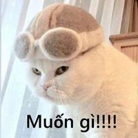 t/g xàm lồn:)))