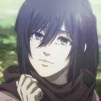 Mikasa 
