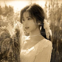 Hồng Ngâm