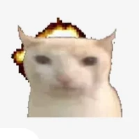 t/g