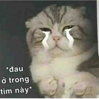 Lão Diêm đế