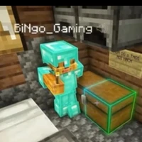 bíngôgaming