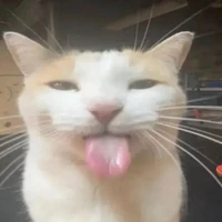 cả ba