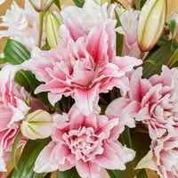 Con t/g hơi xuyên tạc một chút