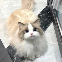 Miyah