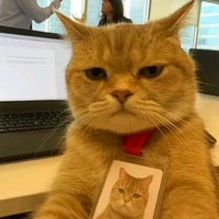 Nhỏ HT
