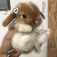 𝐿𝑜𝑜𝑛𝑦𝐵𝑢𝑛✰