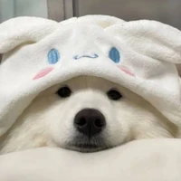 All