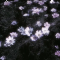 Người qua đường