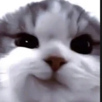 tg:⋆˚Thư˚⋆(cute hột me ૮ ྀིᴗ͈ . ᴗ͈ ྀིა ᙆ