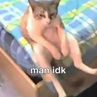 all(Những người có mặt tại đó)