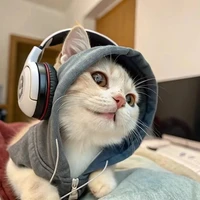 tác giả