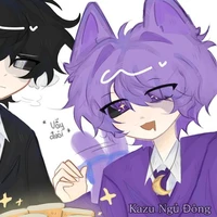 Hiha Catnap