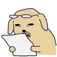 con chos của tg😞