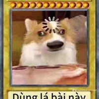 T/g (hết ảnh rồi)