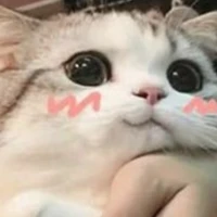 𝑮𝒊𝒑♡~oi☆_con t/g thứ2