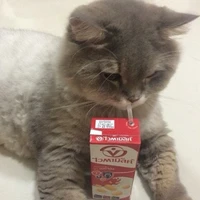 tác giả