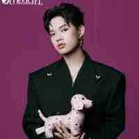 Nguyễn Thanh Pháp |Pháp kiều|