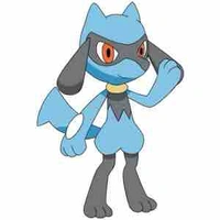 Riolu - Haruma