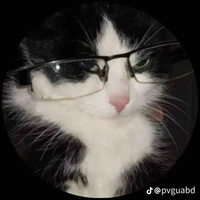 tg: thư (slay 🤡) ˃ 𖥦 ˂