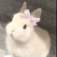 Sisi [con hệ thống dgai]