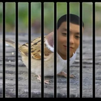 All Top (trừ ai thì trừ)