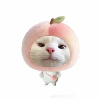 mọi người ở đó