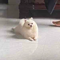 cân mọi vai3(bn bè)