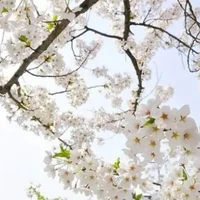 Nhiều quỷ