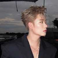 Dương Domic