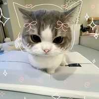 con vợ của Thành Ann