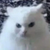 Meo cọc tính[t/g]