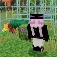 Ender