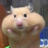 Shu