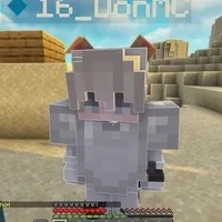 don