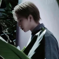 Trần Phong Hào(Nicky)