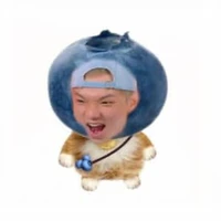 chân meo xinh ฅ