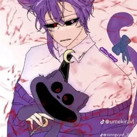 Hiha catnap