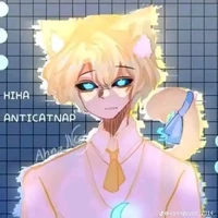 Hiha anticatnap