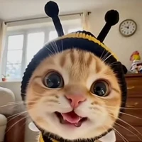 con t/g ăn đâu ỉa đấy